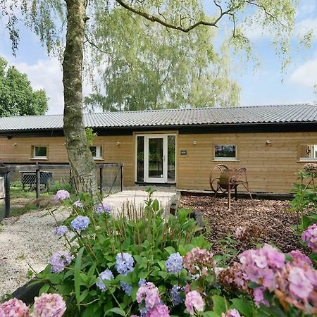 Bed and Breakfast Bos En Beek Ulvenhout Екстер'єр фото